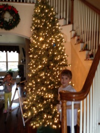 2013/2013 Christmas/2013-11-30 14-44-19 Pre Christmas Decor.jpg
